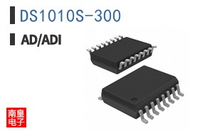 DS1010S-300