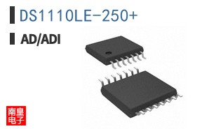 DS1110LE-250+