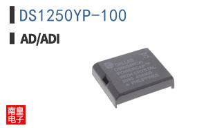 DS1250YP-100