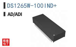 DS1265W-100IND+