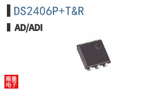DS2406P+T&R