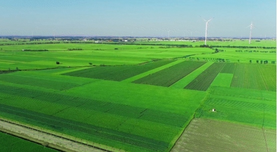 ������������Ʒ������Ƭ���ԡ����ָ�֪��ڹ����������Ԫ����Ӧ��